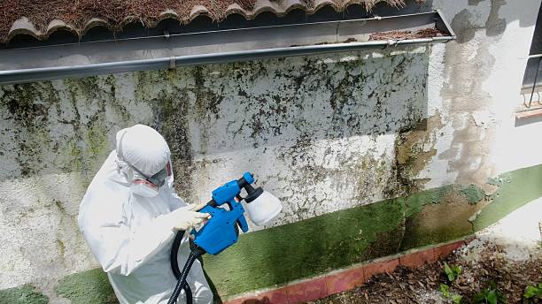 Trusted Bathroom Mold Removal service in Halifax, NC - Cheap Mold Removal